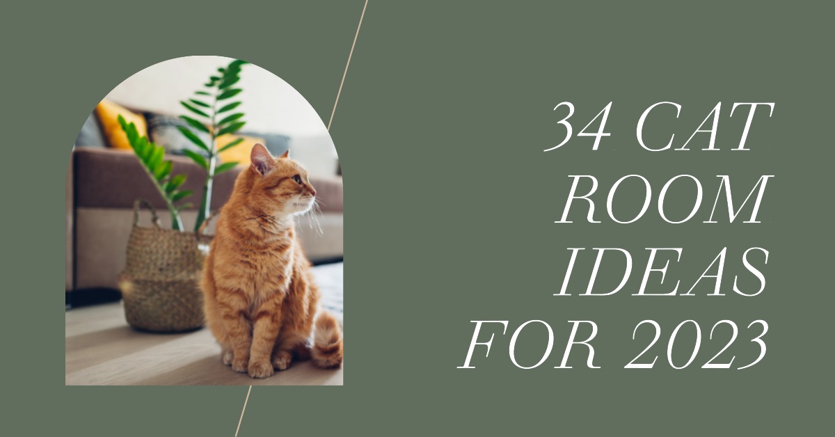 34 cat room ideas for 2023